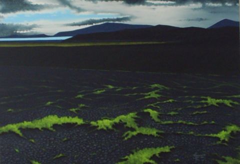 Desert de Kaldidalur